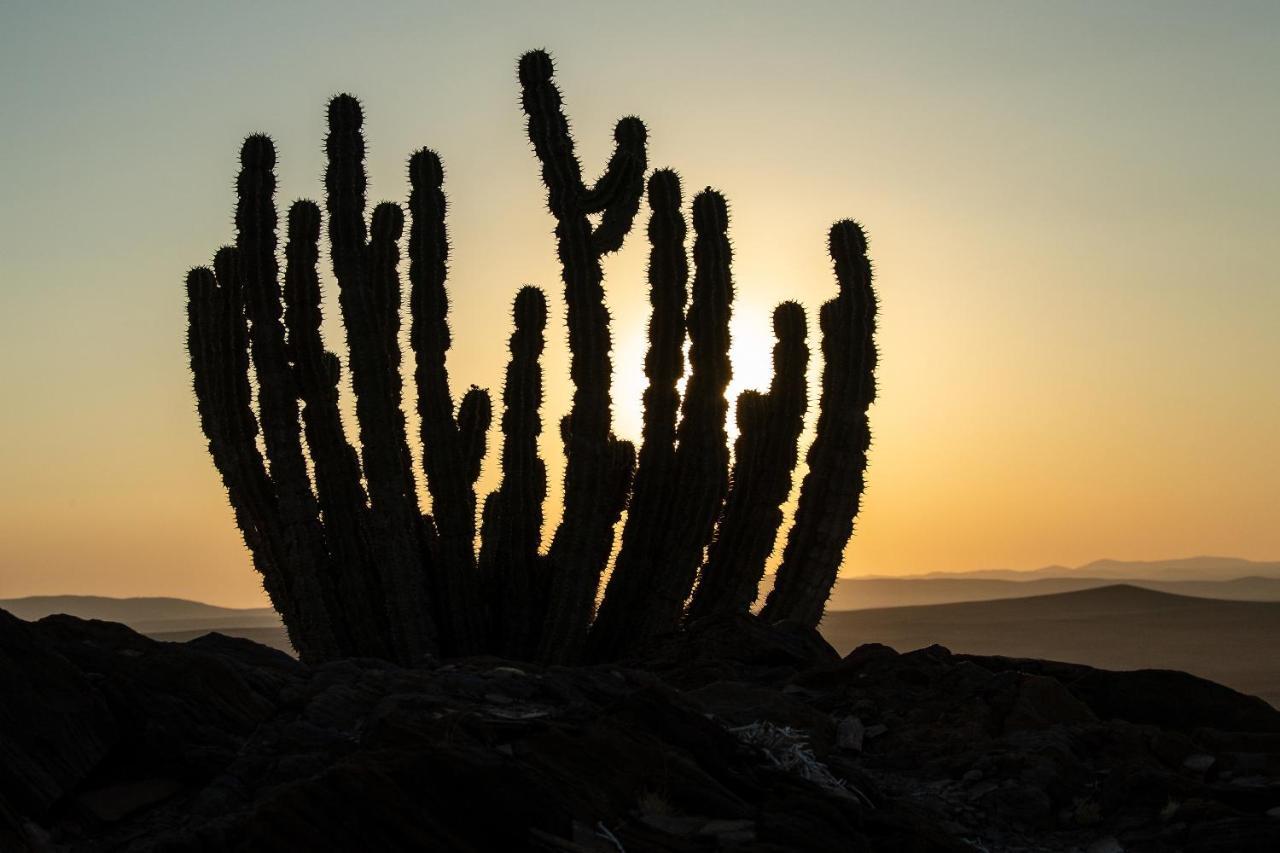 Rostock Ritz Desert Lodge Cha-re Bagian luar foto